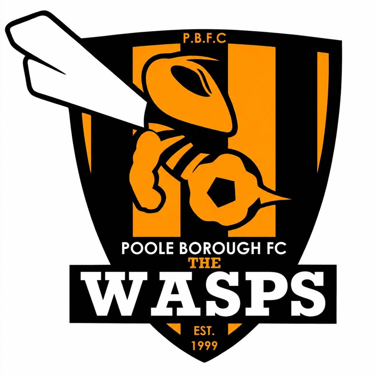 Poole Borough FC U10's Wasps