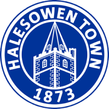 Halesowen Town Hawks logo